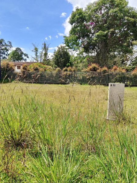 Terreno en Venta en Ceja