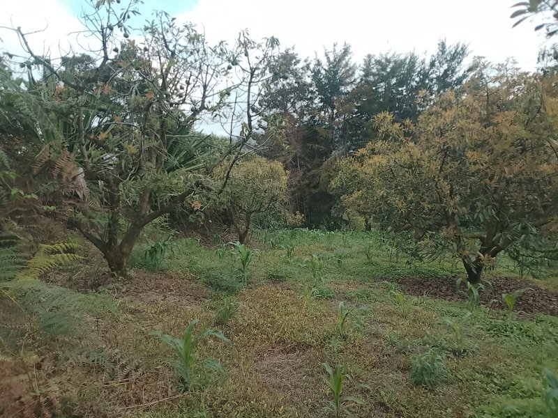 Terreno en Venta en Vereda La Cabaña