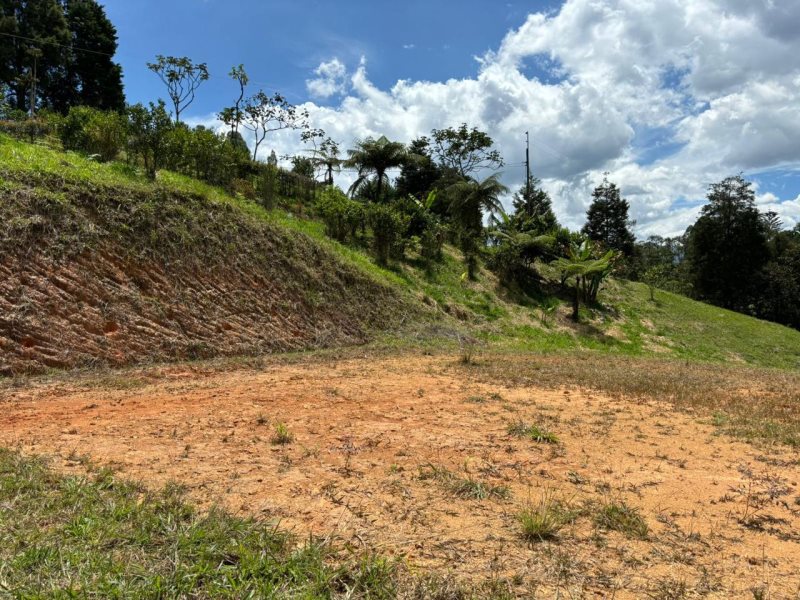 Terreno en Venta en Vereda Urapanes