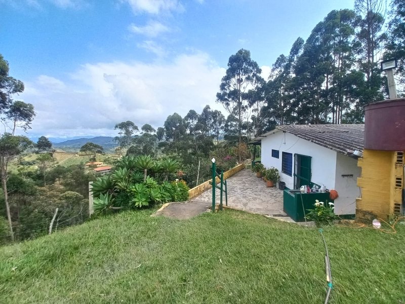 Terreno en Venta en Vereda Piedra Gorda