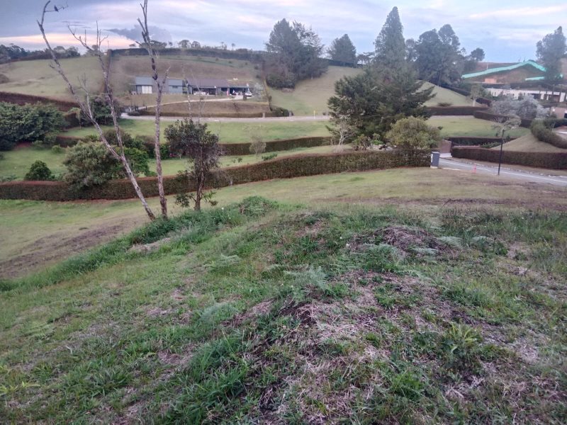 Terreno en Venta en Ceja